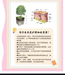 -Bollins波林丝•专研护发中心