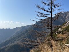 -朱雀国家森林公园