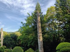 -深圳仙湖植物园