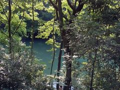 -青龙山国家森林公园