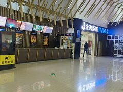 -金逸影城(武汉人信汇IMAX店)