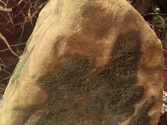 -红色江山(首钢国际大厦店)