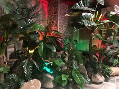 -泉城欧乐堡戏水湾艺术养生温泉