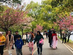 -团城山公园