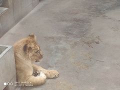 -西安秦岭野生动物园