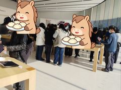 -Apple零售店(新街口店)
