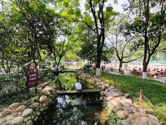 -成都市活水公园