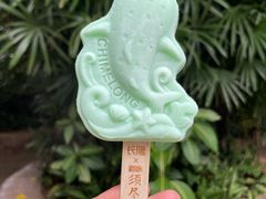 -广州长隆野生动物世界