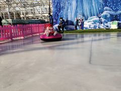 -南宫五洲植物乐园