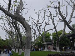 -湖畔居茶楼(湖滨店)