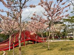 -白石龙音乐公园