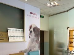 -瑞派申生动物医院·24H夜诊·国际动物医疗中心·骨外科(吴中路店)