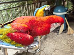 -大连森林动物园