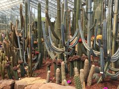 -南通洲际绿博园