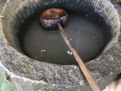 -100蛋泥浆浴