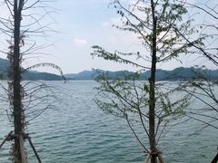 -老虎潭水库