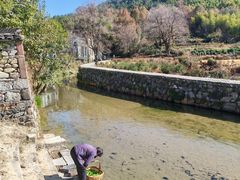 -塔川景区
