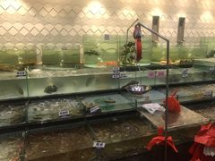 -新海利海鲜城·41年珠海老字号(夏湾店)