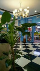 点击看大图 -七十二变梦工场(天兴·罗斯福国际大厦店)