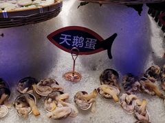 大连应季海鲜-乔哥铭洋海鲜自助(皇城恒隆广场店)