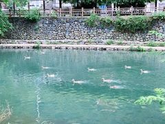 -鹿亭中村