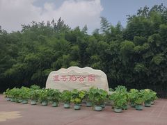 -莲花池公园