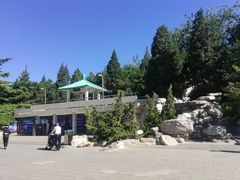 -古城公园