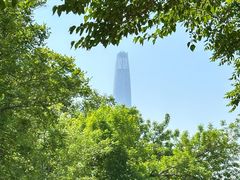 -泰丰公园