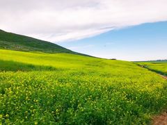 -扁都口生态休闲旅游区