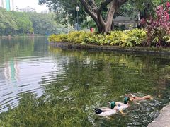 -晓港公园