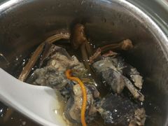 -小鱼小牛·鱼牛干锅·脆鱼火锅(世欧广场店)