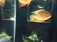 -太奥幻太奇海洋馆
