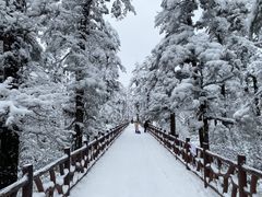 -瓦屋山景区