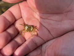 -旺角小渔村(二马路店)