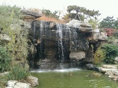 -燕郊植物园