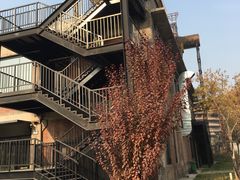 -一尺花园(首钢店)