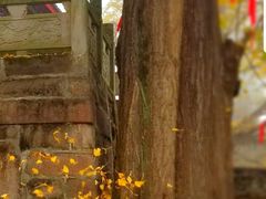 -金堂县云顶石城风景区