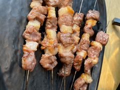 只撒盐的羊肉串-蒙料·手把肉(望京店)