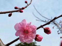 -上海滨江森林公园