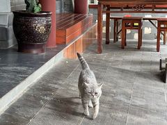 -上王村王家三合院农家乐