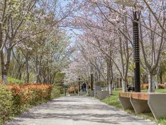 -狼山风景名胜区