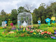 -上海共青森林公园