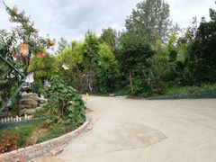 -三圣花乡旅游区