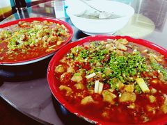 -y牌太安鱼