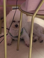 点击看大图 -Pink You美甲美睫纹绣定制中心