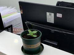 -新航道雅思托福·留学·考研培训(人民广场校区)