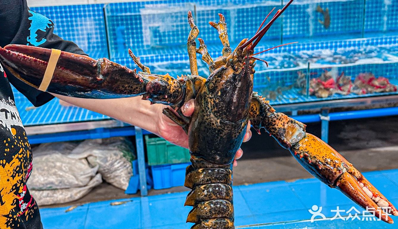 每次来惠州看海不可miss的海鲜大餐！！！