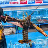 每次来惠州看海不可miss的海鲜大餐！！！