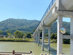 -风云岭森林公园