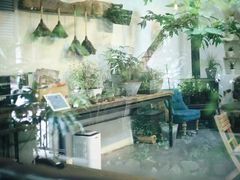 -植觉